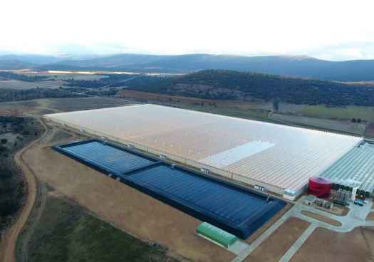 Ondara Directorships plantea un nuevo ERTE para todos sus trabajadores