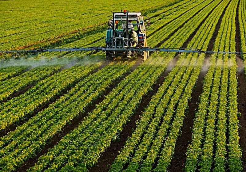 Nueve de cada diez agricultores y ganaderos renovarán su póliza de seguro agrario 