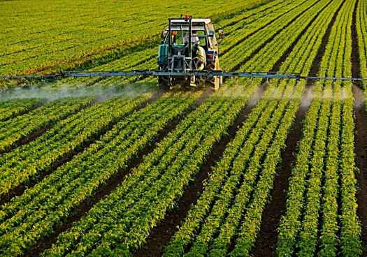 Nueve de cada diez agricultores y ganaderos renovarán su póliza de seguro agrario 