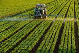 Nueve de cada diez agricultores y ganaderos renovarán su póliza de seguro agrario 