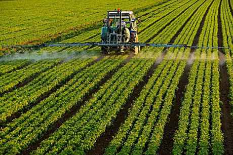 Nueve de cada diez agricultores y ganaderos renovarán su póliza de seguro agrario 