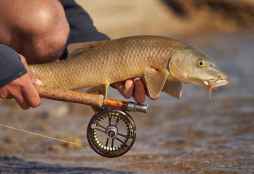 Castilla y León asume licencia común de caza y pesca con otras ocho comunidades