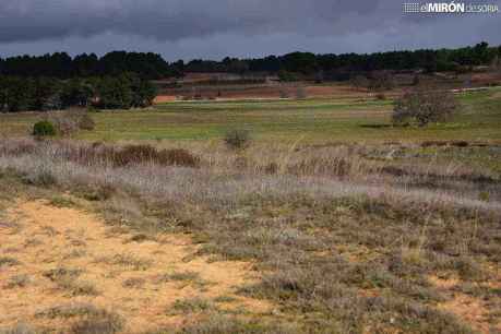 Hacienda saca a subasta 30 fincas rústicas en Berlanga de Duero 
