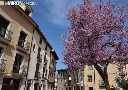 El Burgo de Osma impulsa campaña para concienciar a vecinos sobre vados