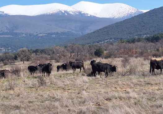 Noviercas participa en formación de jóvenes agricultores con técnicas ecológicas