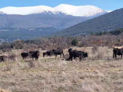 Noviercas participa en formación de jóvenes agricultores con técnicas ecológicas