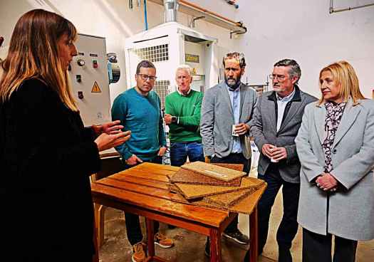 Junta y Cesefor renuevan su alianza para dinamizar bioeconomía forestal 