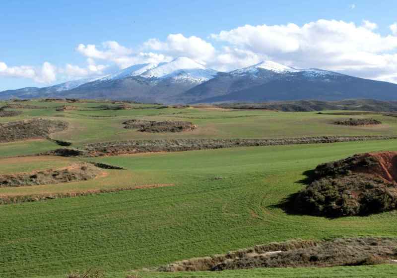 ASDEN presenta alegaciones para un Parque Natural del Moncayo coherente con sus valores naturales y sociales