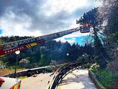 Reabierto acceso principal al Castillo, tras retirada de árbol
