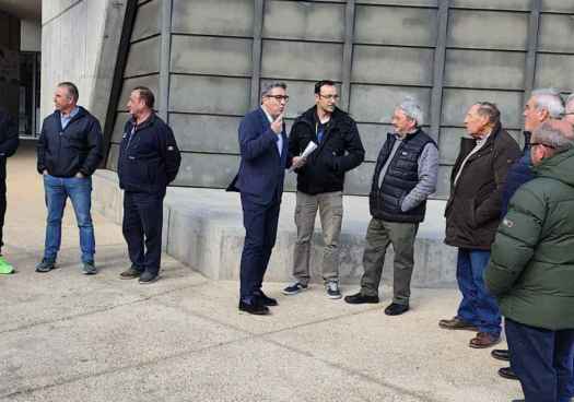 Peregrina lamenta politización socialista del mantenimiento del servicio de Correos 