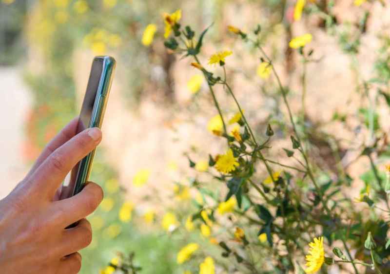 Fundación Global Nature inicia apertura de sus datos de biodiversidad