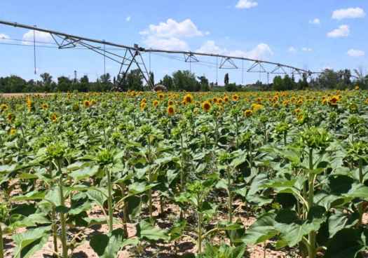 La Junta promueve formación agraria de más de 8.400 alumnos en Castilla y León 
