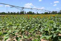 La Junta promueve formación agraria de más de 8.400 alumnos en Castilla y León 