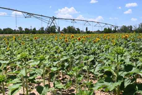 La Junta promueve formación agraria de más de 8.400 alumnos en Castilla y León 