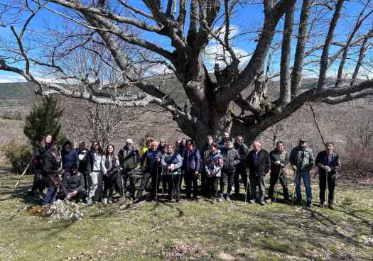 Paseo didáctico en monte de La Poveda de Soria para gestión forestal sostenible