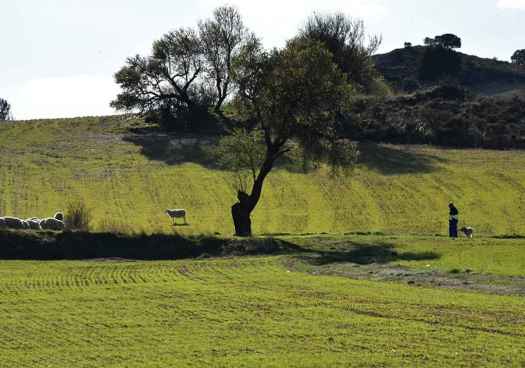 La primavera se adentra en la ribera soriana del Duero