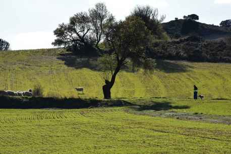 La primavera se adentra en la ribera soriana del Duero