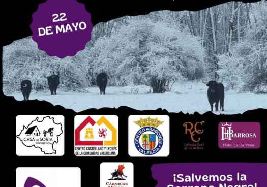 Valencia vuelve a promocionar el consumo de carne de Serrana Negra