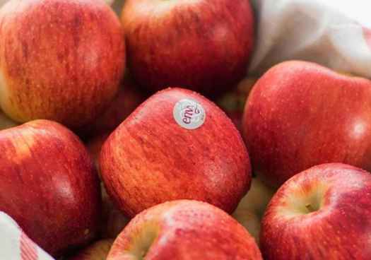 El Burgo de Osma ultima preparativos para VI Jornada Manzanas de Soria 