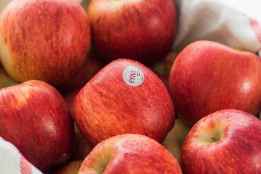 El Burgo de Osma ultima preparativos para VI Jornada Manzanas de Soria 