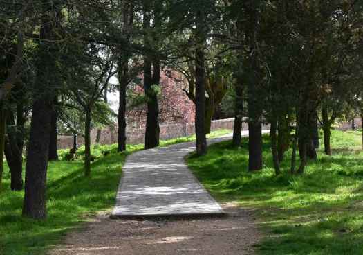 El Supremo confirma nulidad del Plan de Calidad del Aire por Ozono de Castilla y León