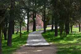 El Supremo confirma nulidad del Plan de Calidad del Aire por Ozono de Castilla y León