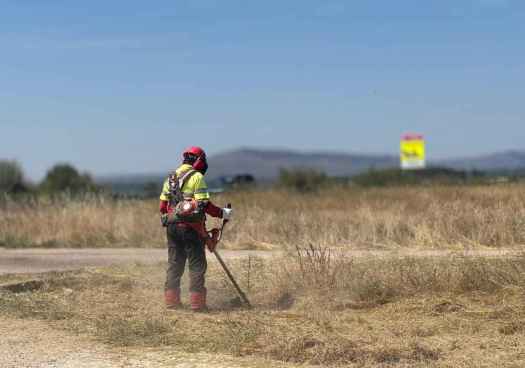 Los ayuntamientos tienen hasta el 30 de abril para solicitar a Diputación las brigadas forestales