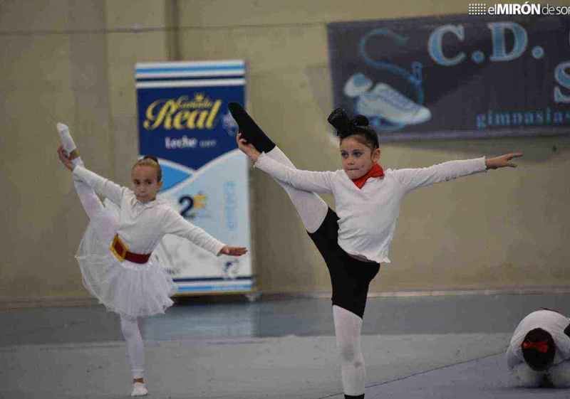 El Torneo de Gimnasia de Soria reunirá a 250 deportistas