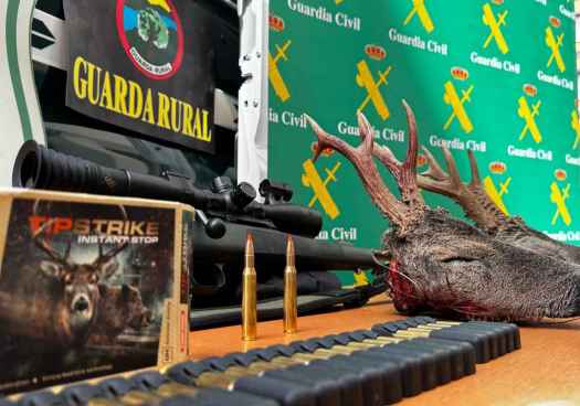 Tres detenidos por caza furtiva de corzos en varios cotos de Soria