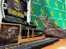 Tres detenidos por caza furtiva de corzos en varios cotos de Soria