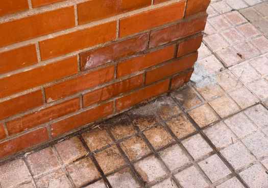 ¿Pueden mear mis nietos en las aceras?