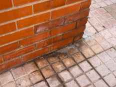 ¿Pueden mear mis nietos en las aceras?