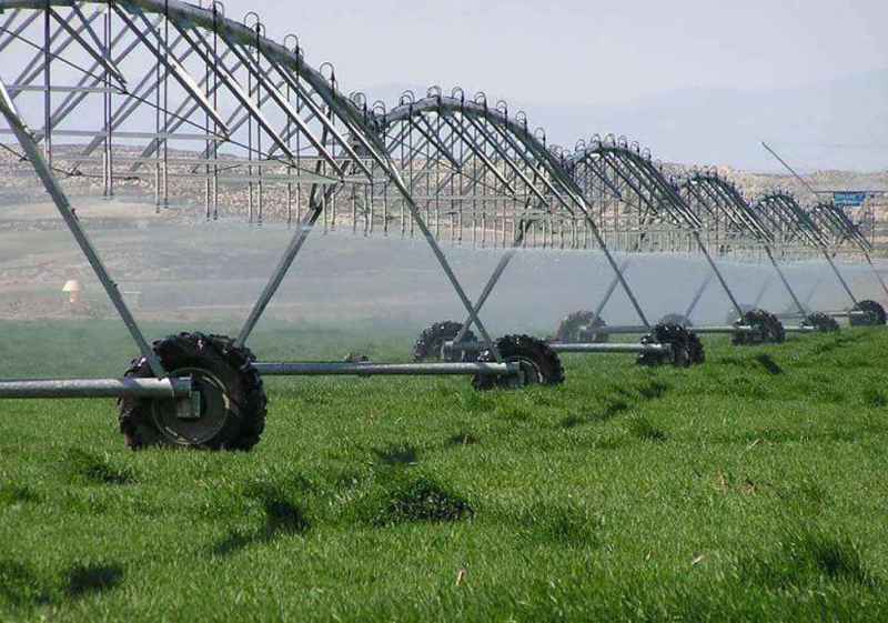 La Junta reivindica valor estratégico del regadío para desarrollo económico y rural 
