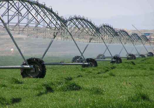 La Junta reivindica valor estratégico del regadío para desarrollo económico y rural 