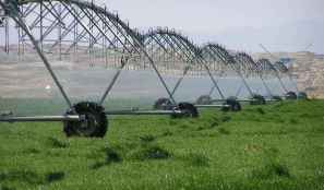 La Junta reivindica valor estratégico del regadío para desarrollo económico y rural 