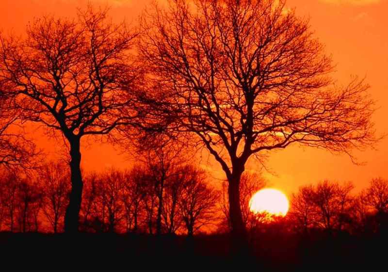 La Junta prolonga hasta el domingo la alerta por polvo africano 