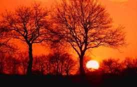 La Junta prolonga hasta el domingo la alerta por polvo africano 