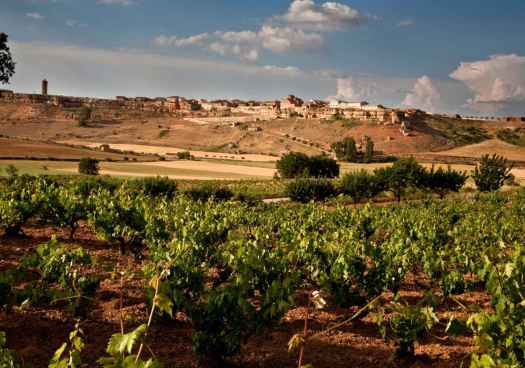 Dominio de Atauta participa en masterclass impartida por Tim Atkin para Reino Unido