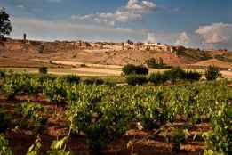 Dominio de Atauta participa en masterclass impartida por Tim Atkin para Reino Unido