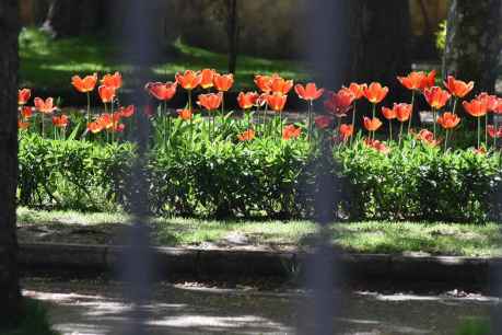 Estampas de la ciudad de Soria en primavera
