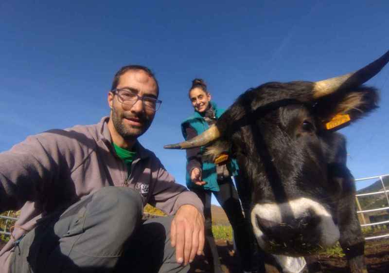 La ternera ecológica del Moncayo, protagonista de jornadas gastronómicas