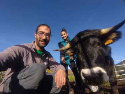La ternera ecológica del Moncayo, protagonista de jornadas gastronómicas