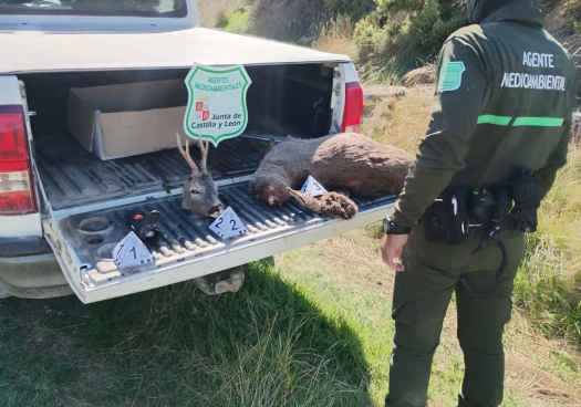 La Junta intensifica operativo de vigilancia contra el furtivismo