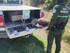 La Junta intensifica operativo de vigilancia contra el furtivismo