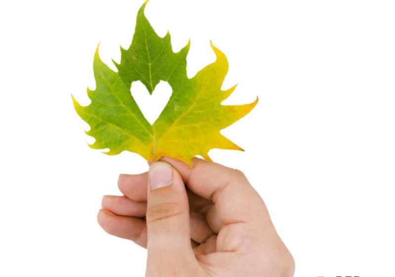 Proynerso presenta su Red PAME en Noviercas con ejemplos de mujeres emprendedoras