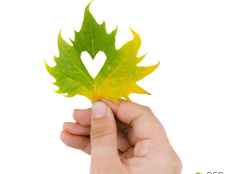 Proynerso presenta su Red PAME en Noviercas con ejemplos de mujeres emprendedoras