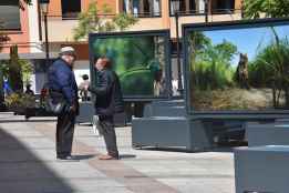  CSIF exige blindar el Estado de Bienestar contra los efectos económicos de la guerra 