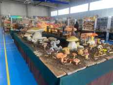 Montes de Soria se estrena en Venalmazán con un gran despliegue expositivo 