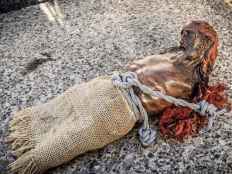 Presentan denuncia por profanación de imagen de Cristo en cementerio de Soria