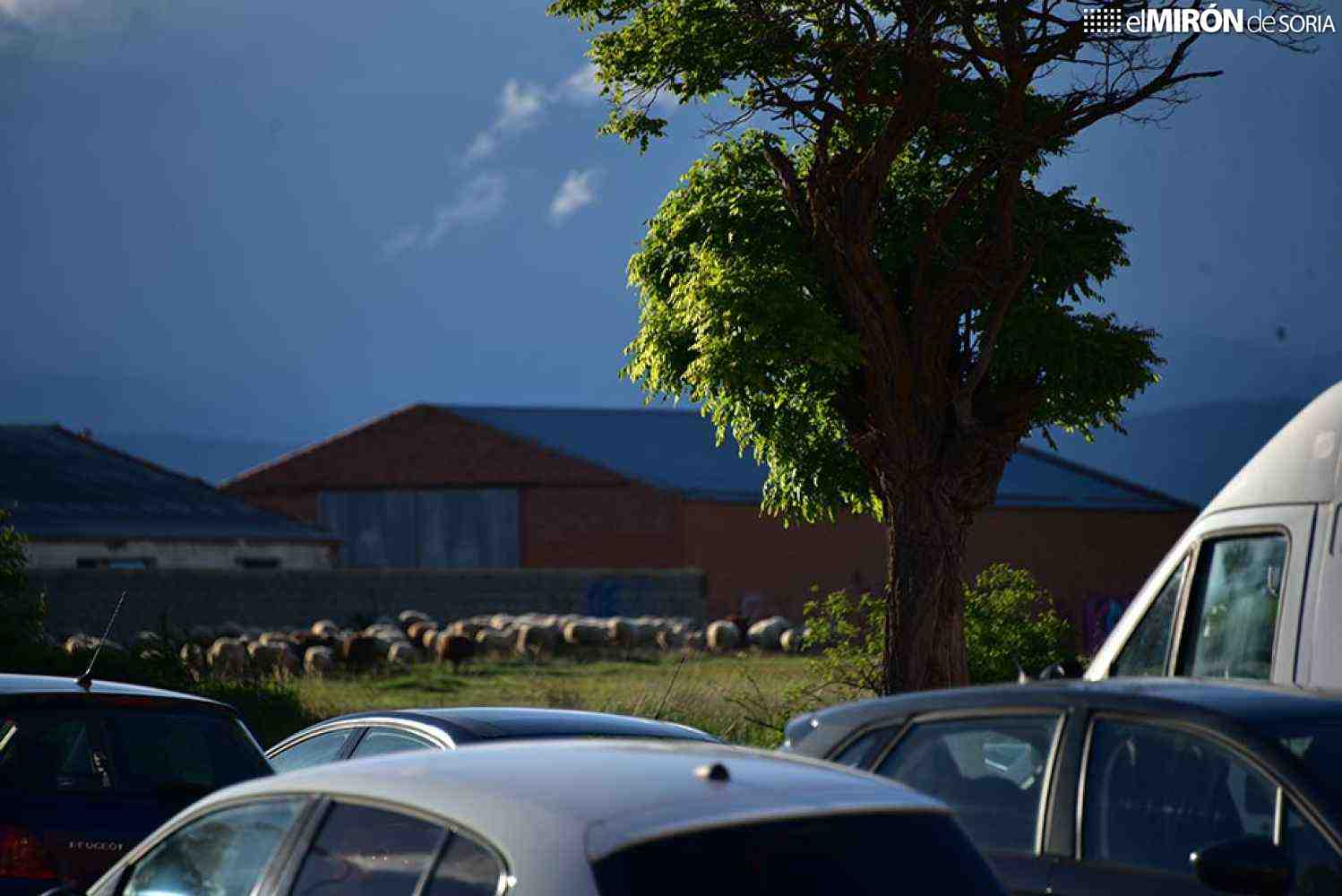 Las tormentas y el descenso térmico marcarán el fin de semana en Soria